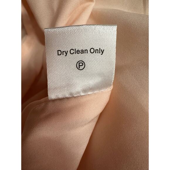 Tuckernuck Champagne Fil Coupe Palmerston Dress Size Small - Picture 13 of 14